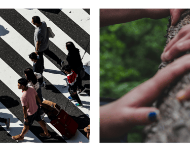 Links ein Bild mit schwarz-weißer Straße mit gehenden Menschen. Rechts ein baumstamm mit Händen 