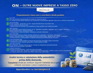 ON Invitalia – finanziamenti a fondo perduto e tasso zero analizzati da TerraExpert.it