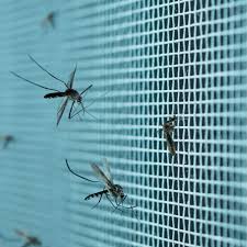 Mosquito Nets instalation by anikshava safety nets