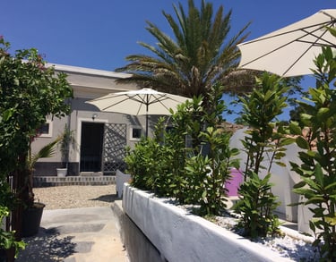 itahome Luxury patio with palm tree, white sun umbrellas, and green plants outside a modern villa.
