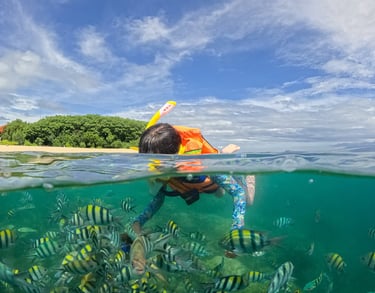 Saona Island