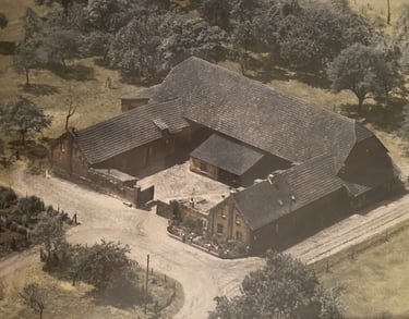 Vintage aerial view of a traditional farmhouse and barn complex with a courtyard surrounded by trees.