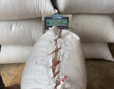 documentation and packaging support for raw rice husk