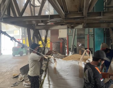 Rice husk packaging and warehouse support for industrial buyers