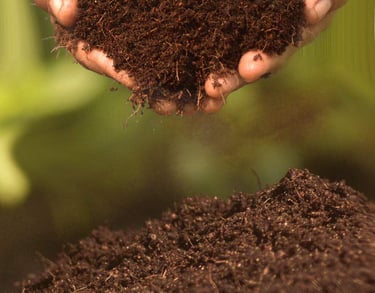 premium cocopeat blocks exported from India