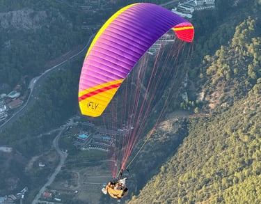 puple color hobbt acro paragliding