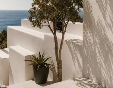 Minimalist white Mediterranean architecture featuring an agave plant and tree with ocean views.
