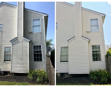 Vinyl Siding Soft Wash Land 'O' Lakes FL