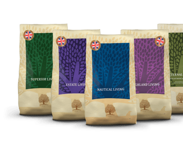 essential foods living