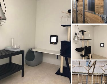 logement chat spacieux