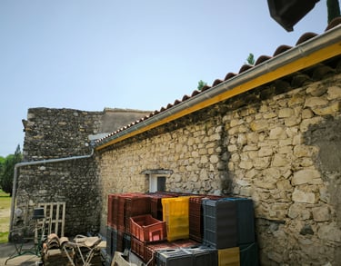 cheneau et descente en zinc