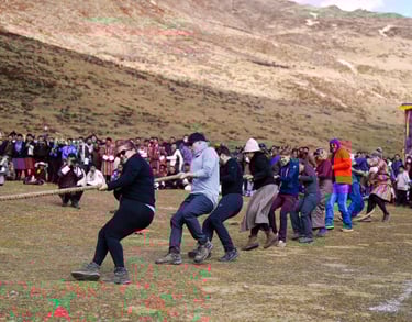 Tug-of-war-between-visitors-and-the-local-inhabiitants-at-Laya-Royal-Highland-Festival
