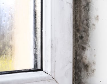 mildew and moisture around a window