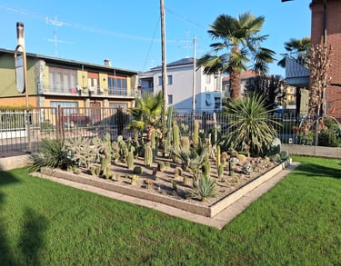 giardino esotico con cactus