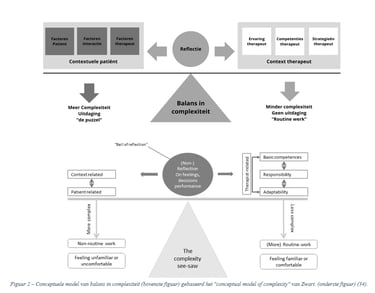 Figuur masterthesis psychosomatische fysiotherapie