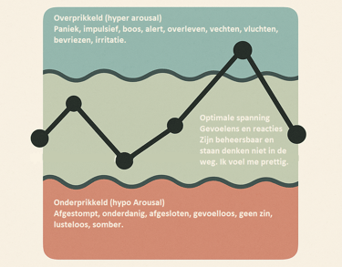 Window of tolerance nederlands