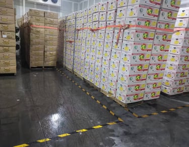 Banana Ripening Room