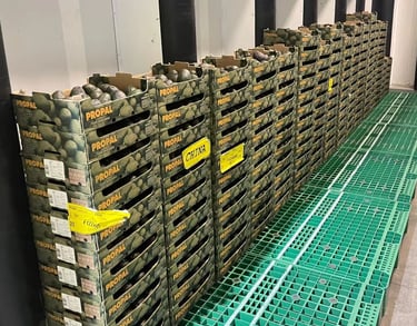 Avocada Ripening Room