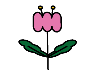 Feuilles et nature en illustration pour souligner l’ambiance éco-responsable du festival.