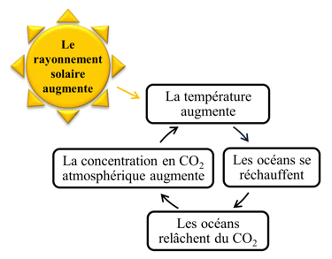 Exemple de boucle de rétroaction positive entre la température et la concentration en CO2