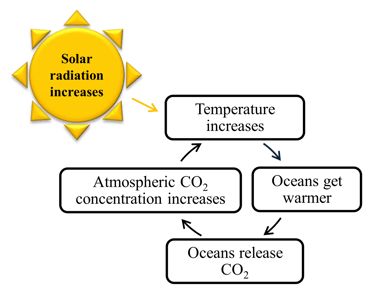 Example of a positive feedback loop between temperature and CO2 concentration