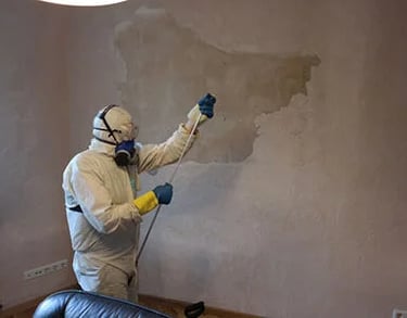 Pelėsio naikinimo paslaugos, pelėsio šalinimo paslaugos, pelėsio valymo paslaugos, pelesio naikinima