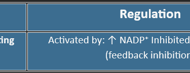 HMP-shunt-regulation