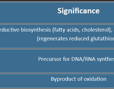 HMP-shunt-significance