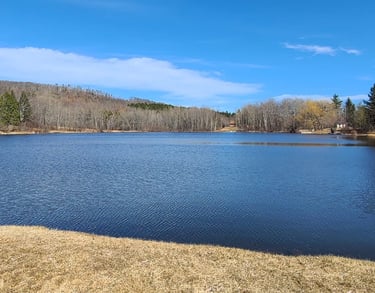 Cabin in Catskills NY - Ultimate Escape from City Life - Orange Door Catskills