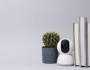 a camera and a cactus plant in a potted plant