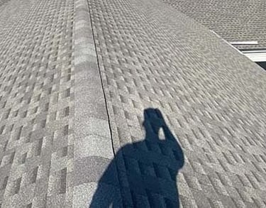 shingle roof soft washing