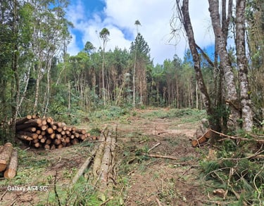 Direito - Posse e propriedade - Marcus Barros - Advogado