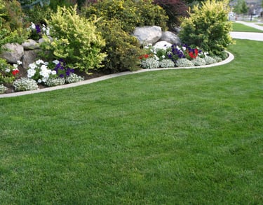 professional irrigation