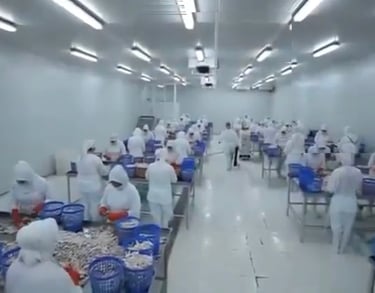 Chicken Feet Exports