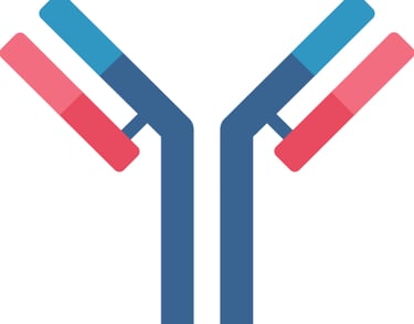 antibody discovery via yeast surface display