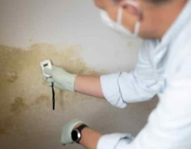 MoldWarden - Complete Mold Inspection