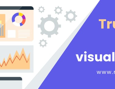Datat Visualization services 