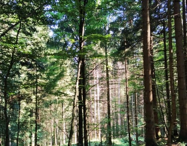 Bien commencer sa journée grâce à la sophrologie.