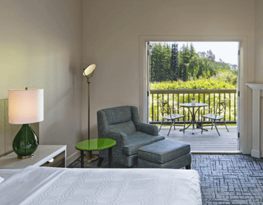 Hotel with vineyard view