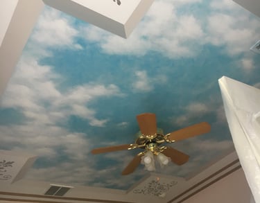 bespoke illusion mural on ceiling by marcine in hunterdon county, nj