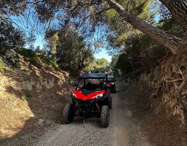 buggy safari tours from salou