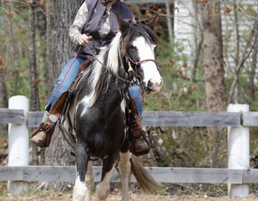 a woman riding a horse in a fenced in area