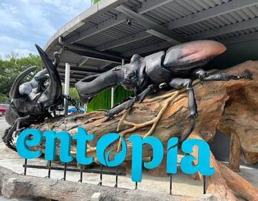 Penang Entopia