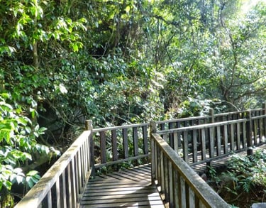 penang national park