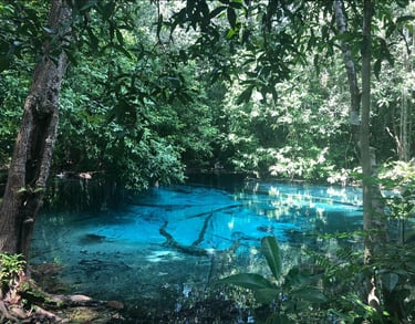 thailand krabi emerald pool