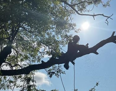 Burnham Tree Services