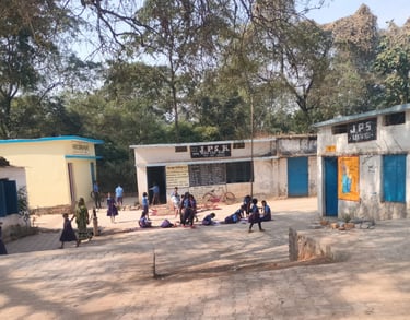 students on the ground