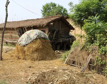 village in Bardiya district