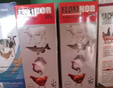 Floxinor image