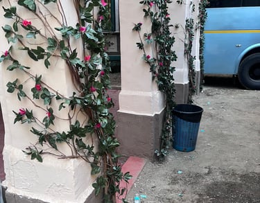 Artificial creepersfor decoration on rental basisi